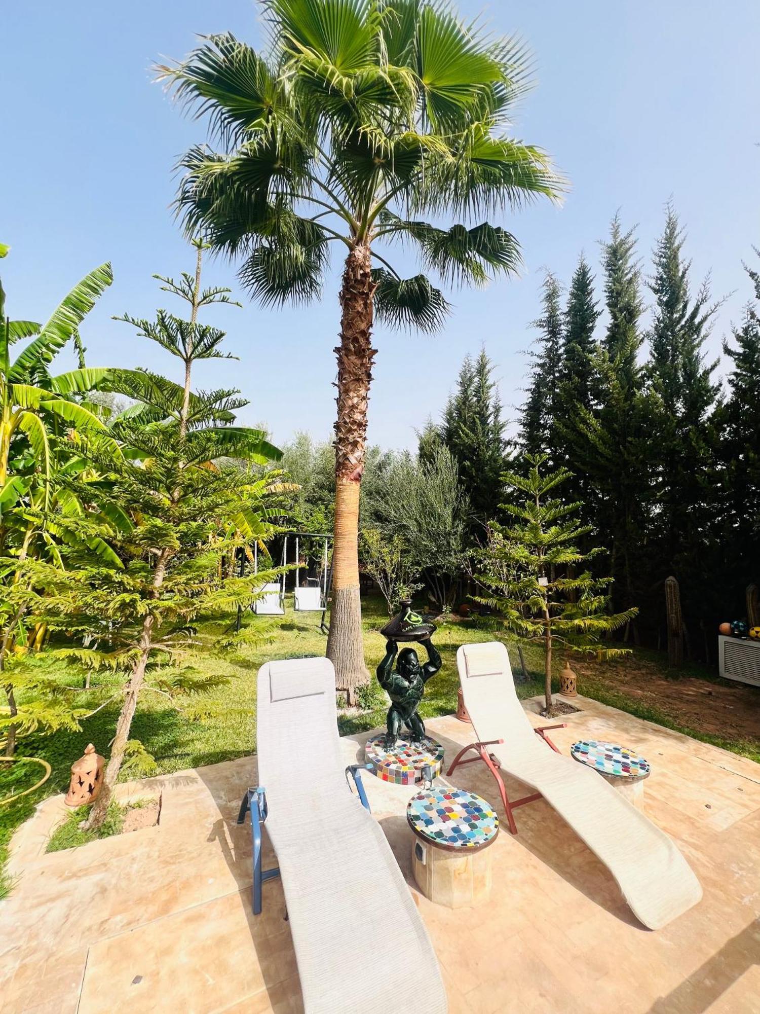 Ilafe Farmhouse, Villa Avec Piscine Chauffee Privee Et Jacuzzi Pour Familles مراكش المظهر الخارجي الصورة