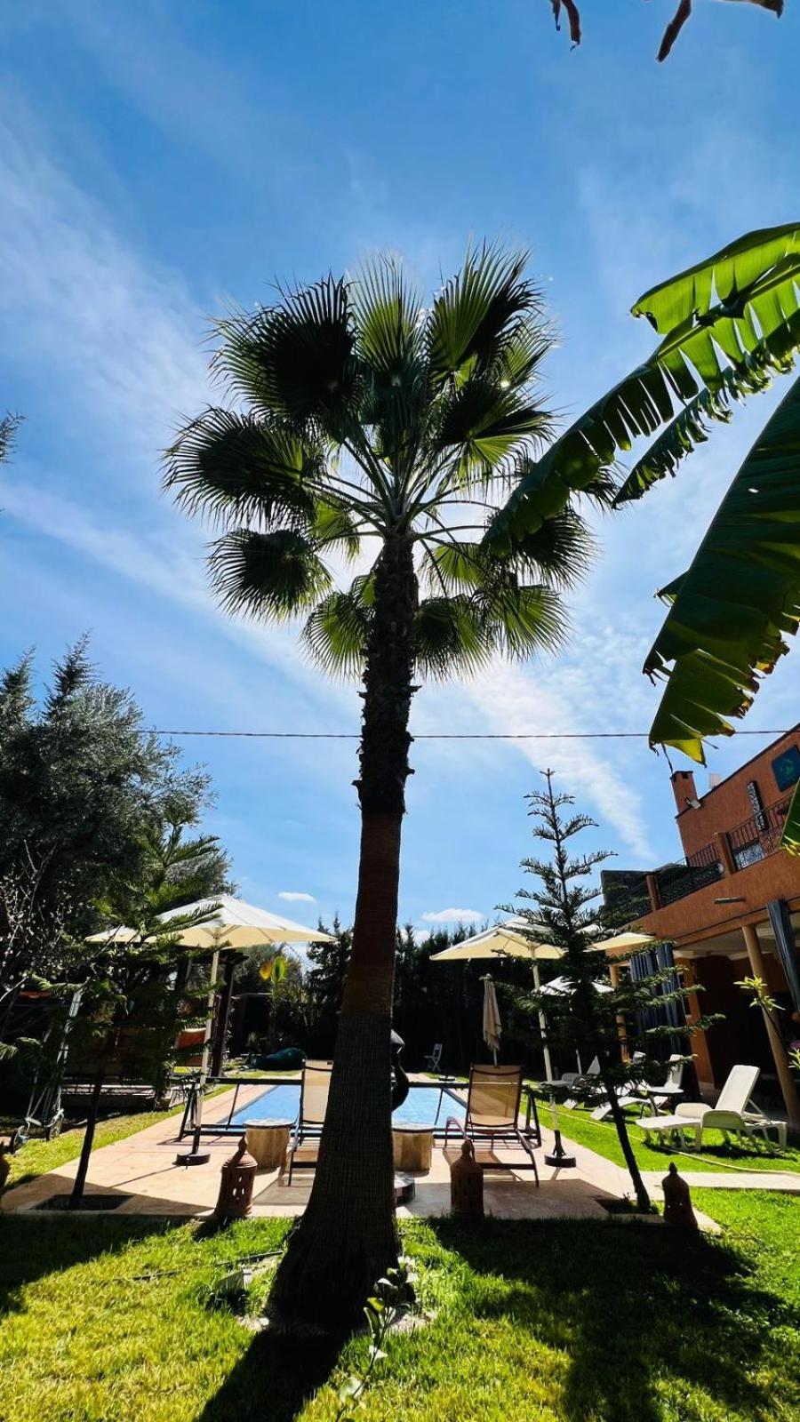 Ilafe Farmhouse, Villa Avec Piscine Chauffee Privee Et Jacuzzi Pour Familles مراكش المظهر الخارجي الصورة